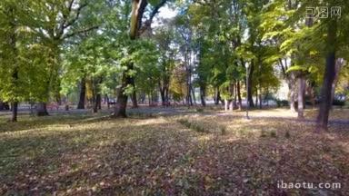 航拍<strong>城市</strong>公园的秋季自然风光，秋季美景和空板凳